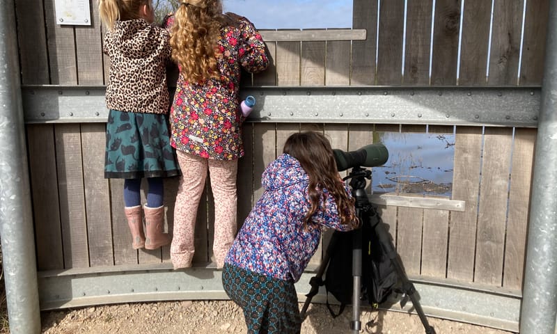 Vogels kijken