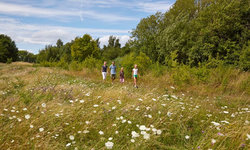 Twee volwassenen en twee kinderen die op een pad tussen gras en witte bloemen doorlopen