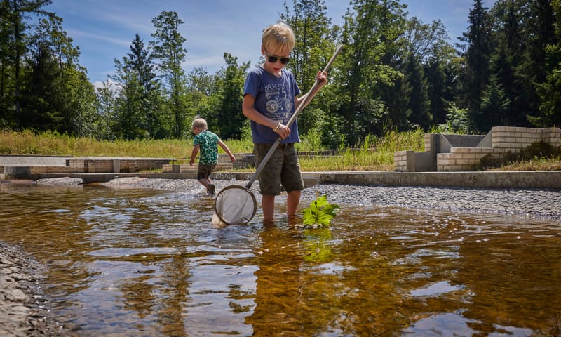 Waterbeestjes zoeken 