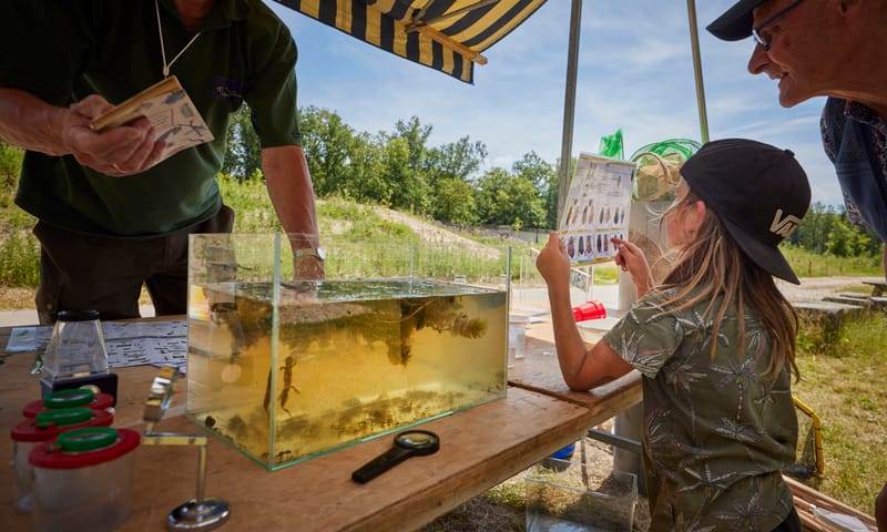 Waterbeestjes zoeken 