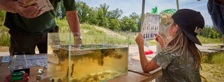 Waterbeestjes zoeken 