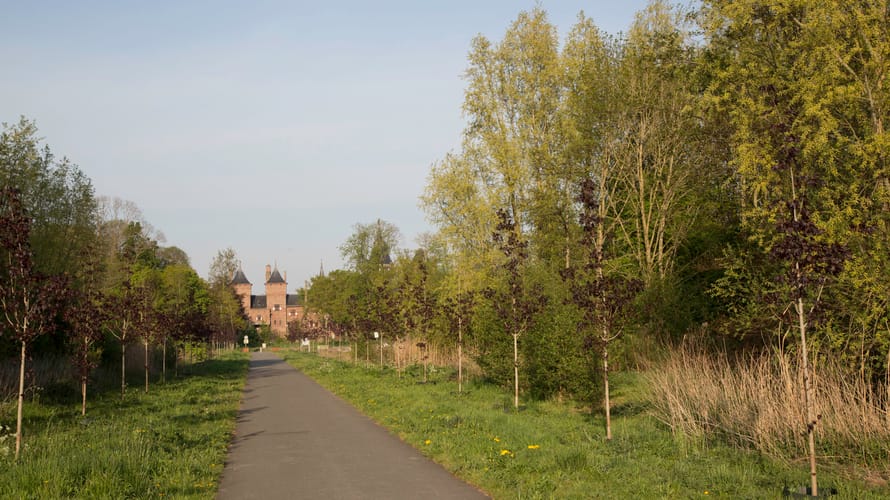 Parkbos de Haar