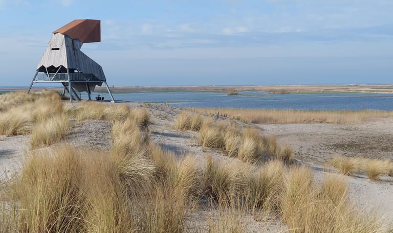 Marker Wadden