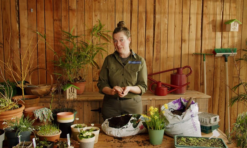 Boswachter Sanne