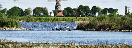 Hompesche Molen in het groen