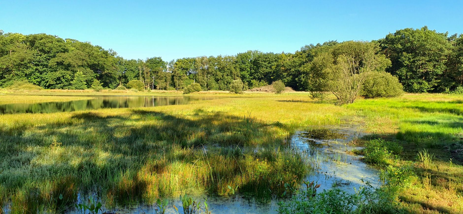 Witte Veen