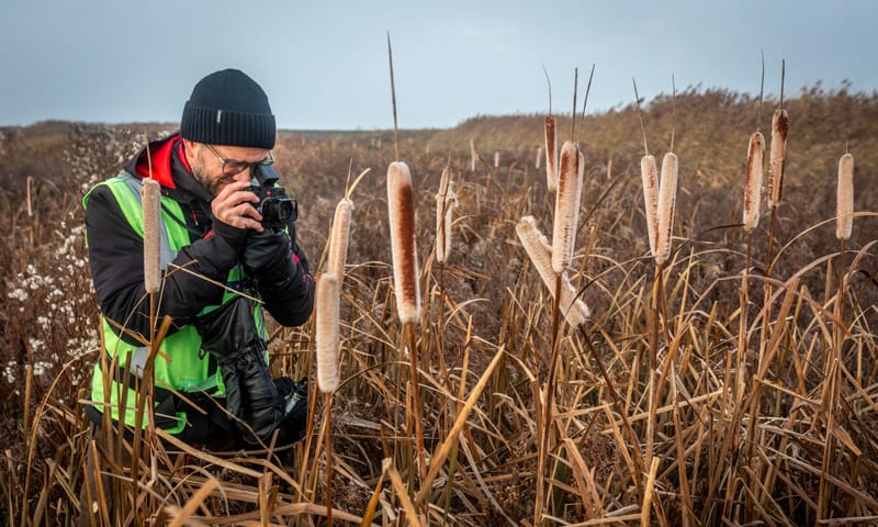 Fotograaf Jasper Doest in actie Fotograaf Jasper Doest fotografeert in het riet