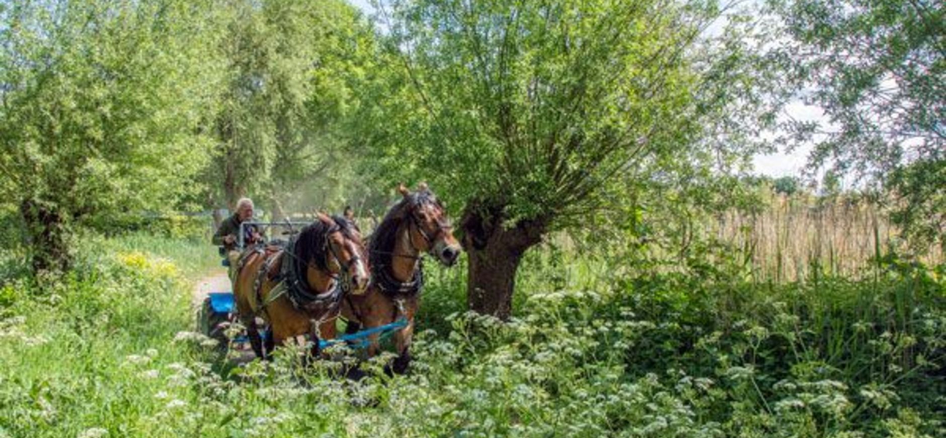 Maaien te paard