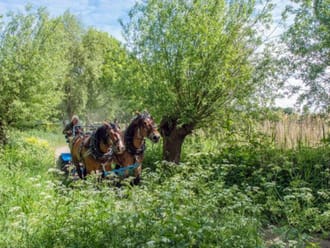 Maaien te paard