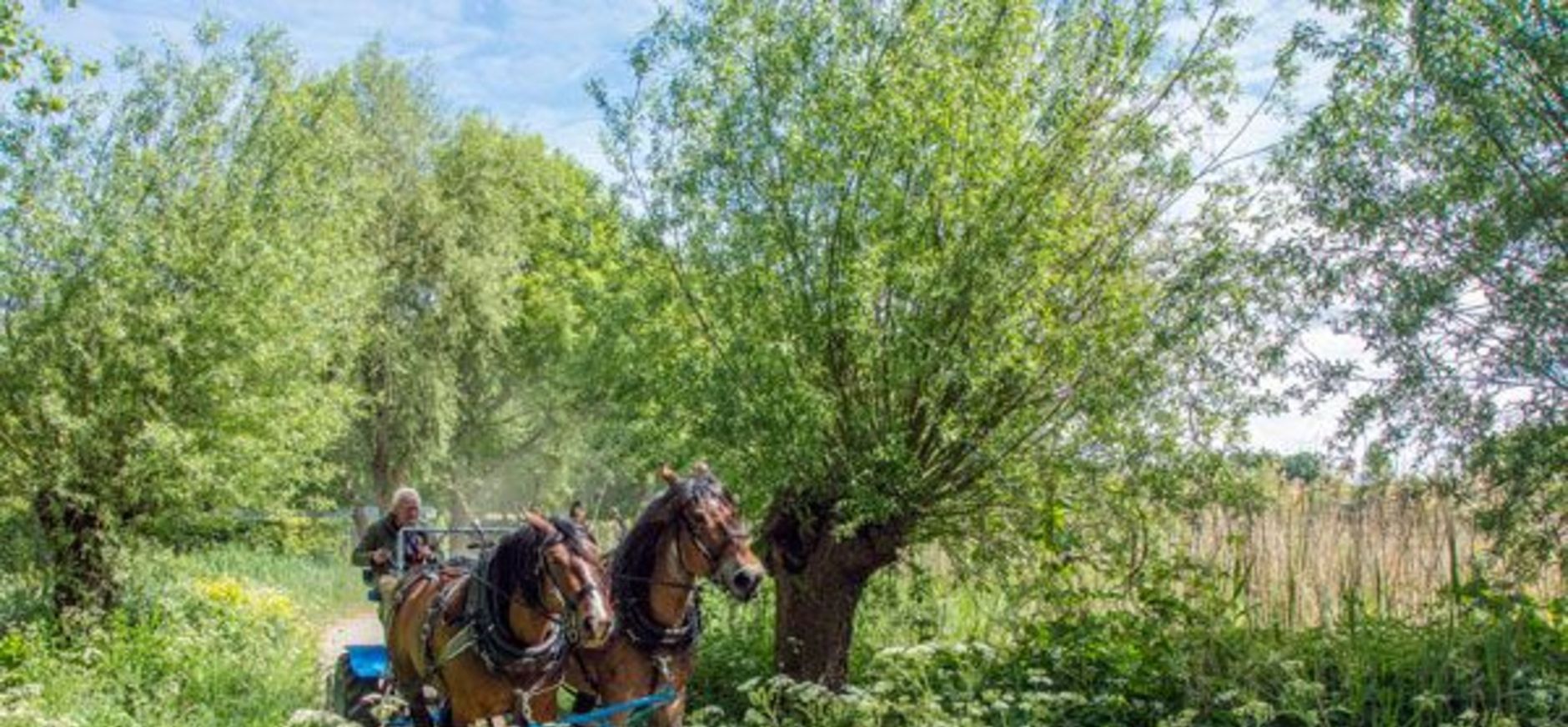 Maaien te paard