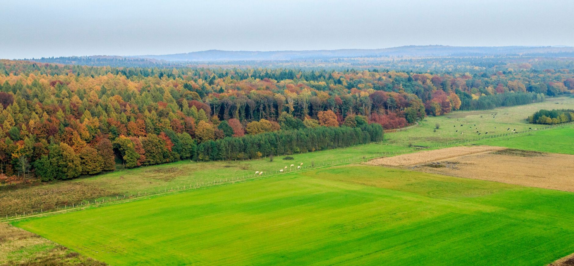 Reichswald en Sint-Jansberg Reichswald en Sint-Jansberg