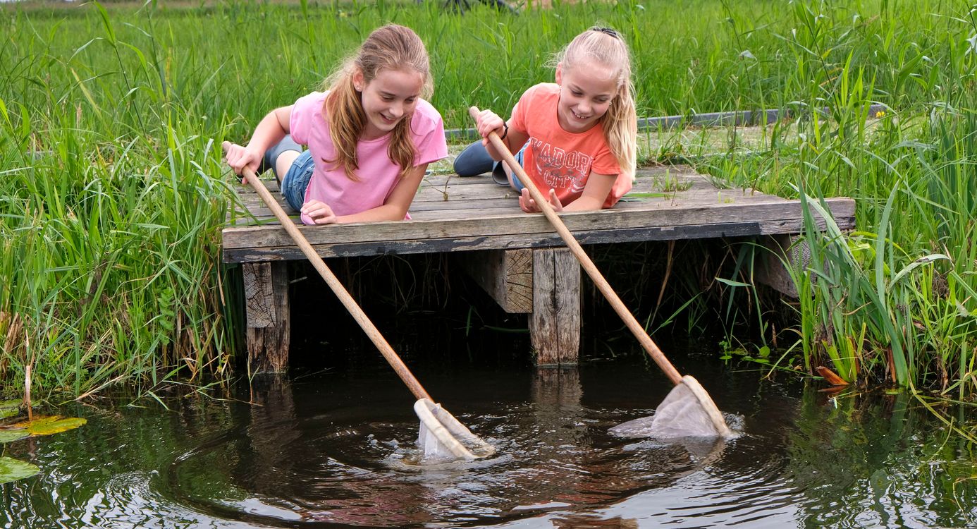 Waterdiertjes zoeken