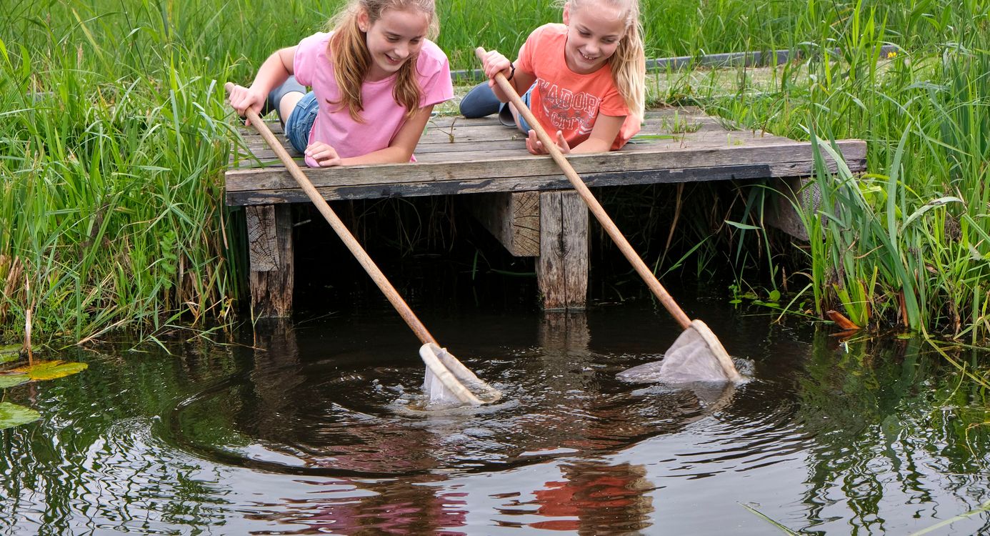 Waterdiertjes zoeken