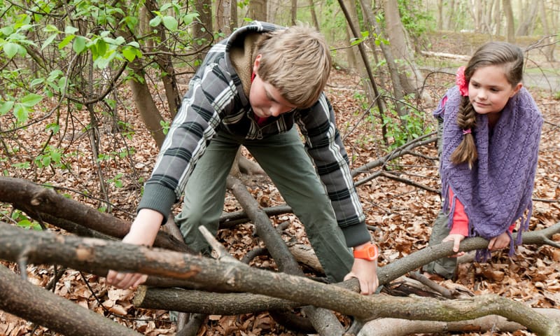 Jongen en meisje buigen zich over grote takken in het bos