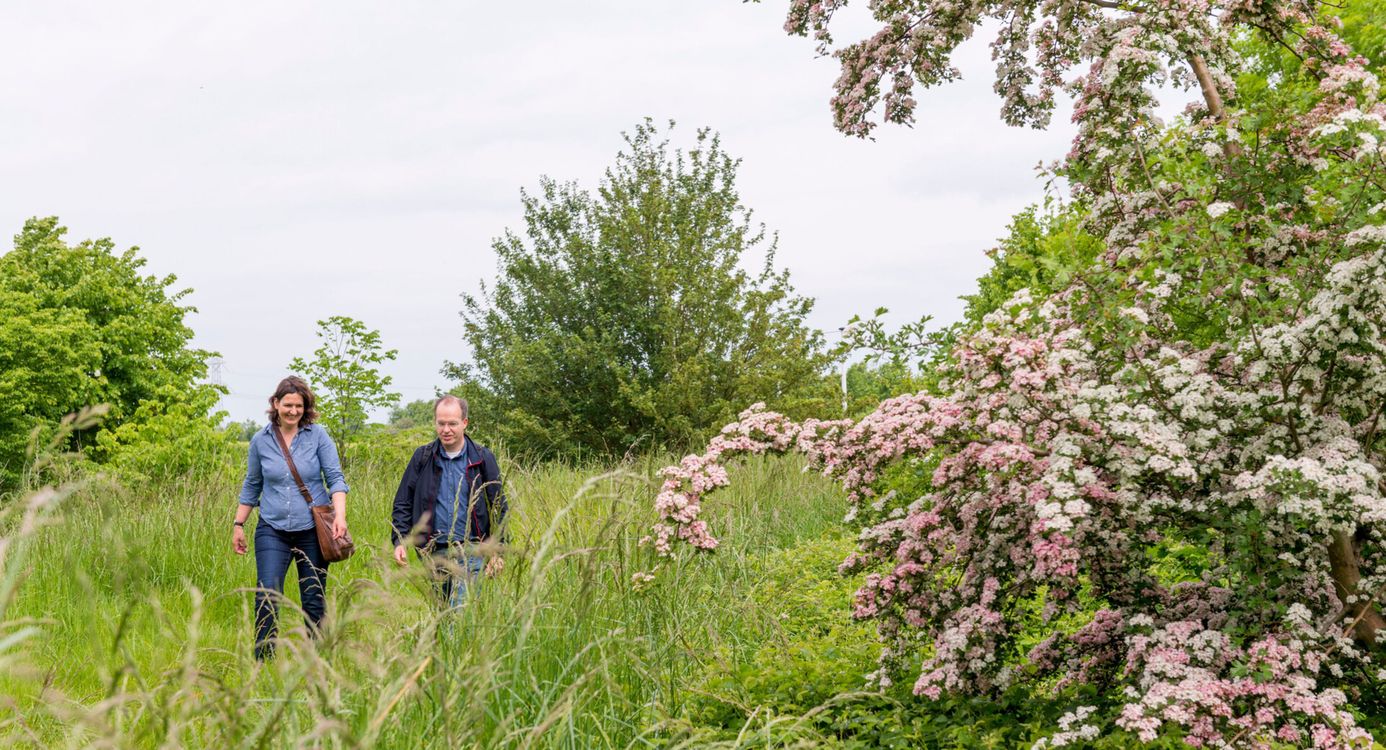Wandelaars in het groen met bloesem