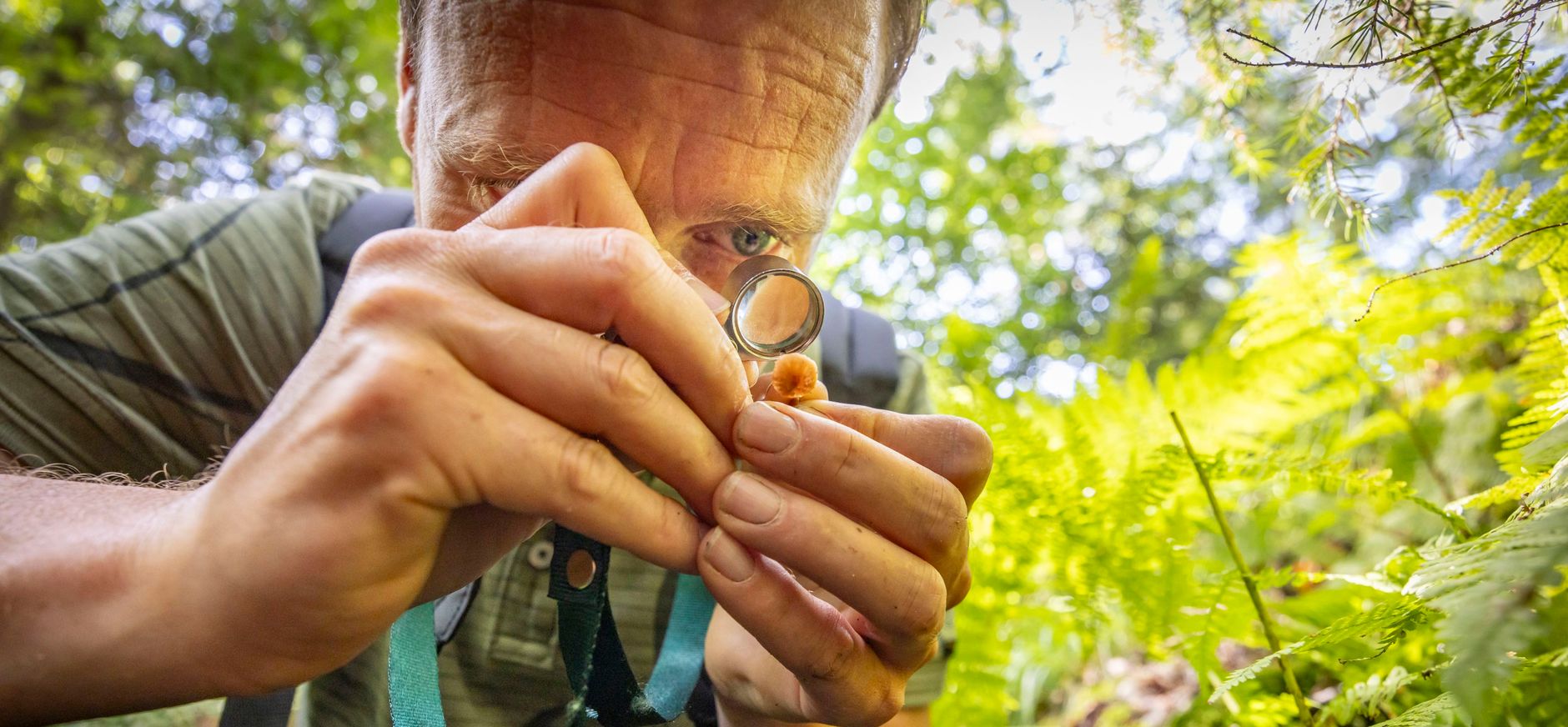 Op zoek naar bijzondere planten Op zoek naar bijzondere planten