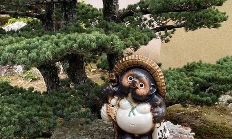 Japanse Tanuki
