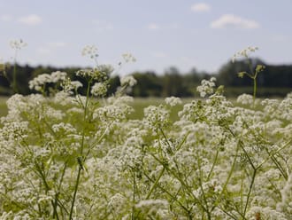 onderweg
