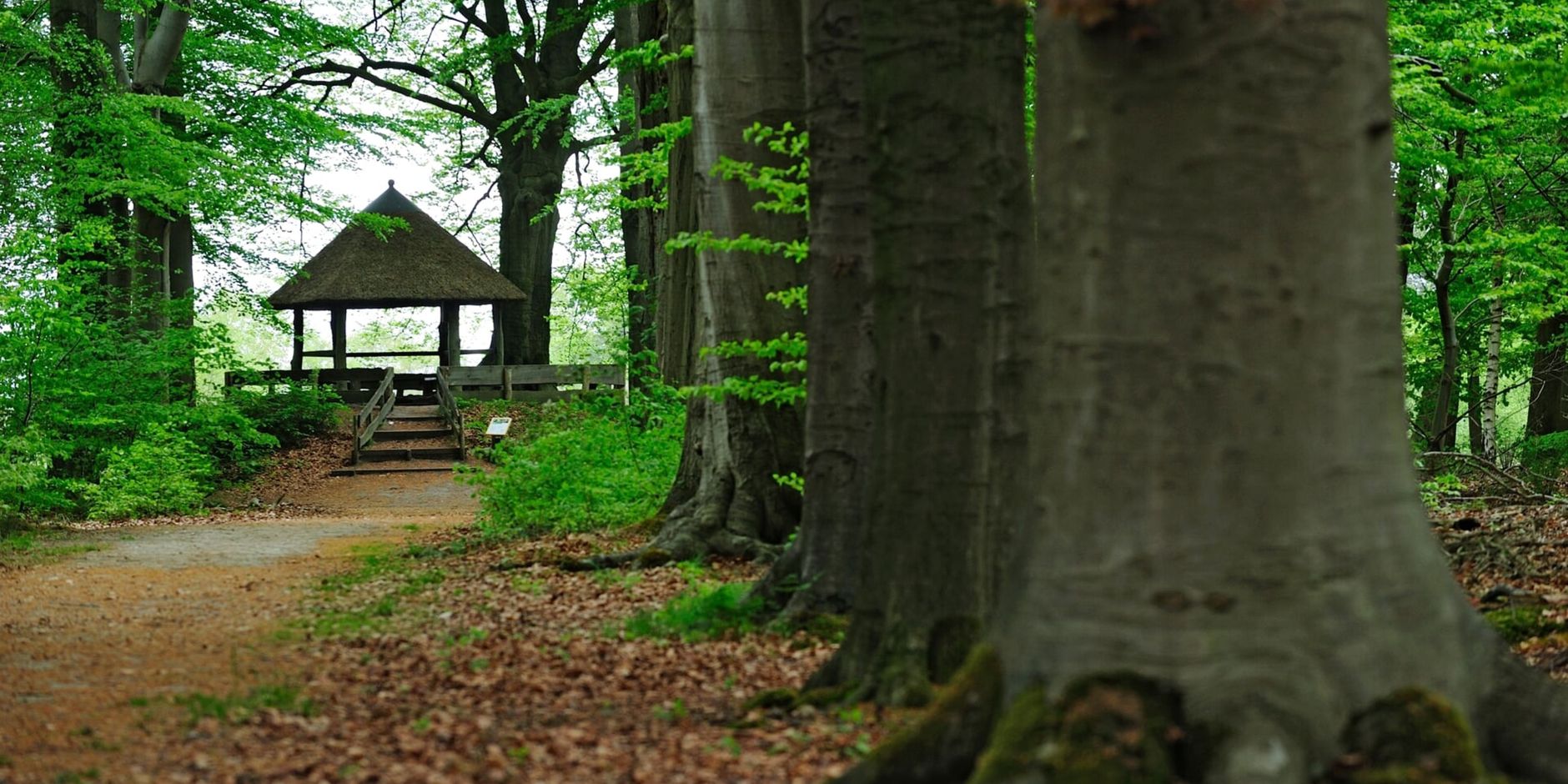 landgoed Oude Buisse Heide