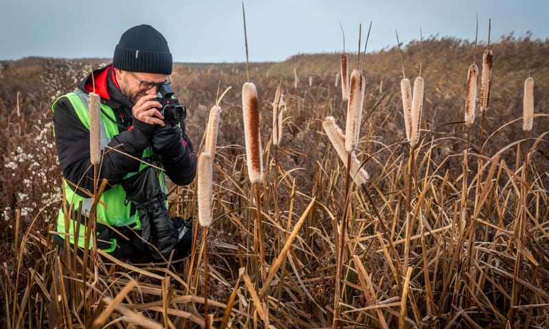 Fotograaf Jasper Doest in actie Fotograaf Jasper Doest fotografeert in het riet
