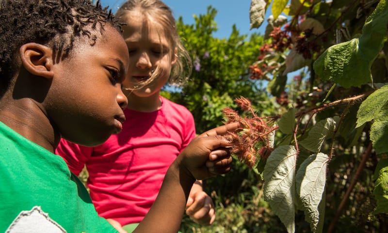 OERRR Struinen en afdrukken maken met de boswachter in ‘s-Graveland