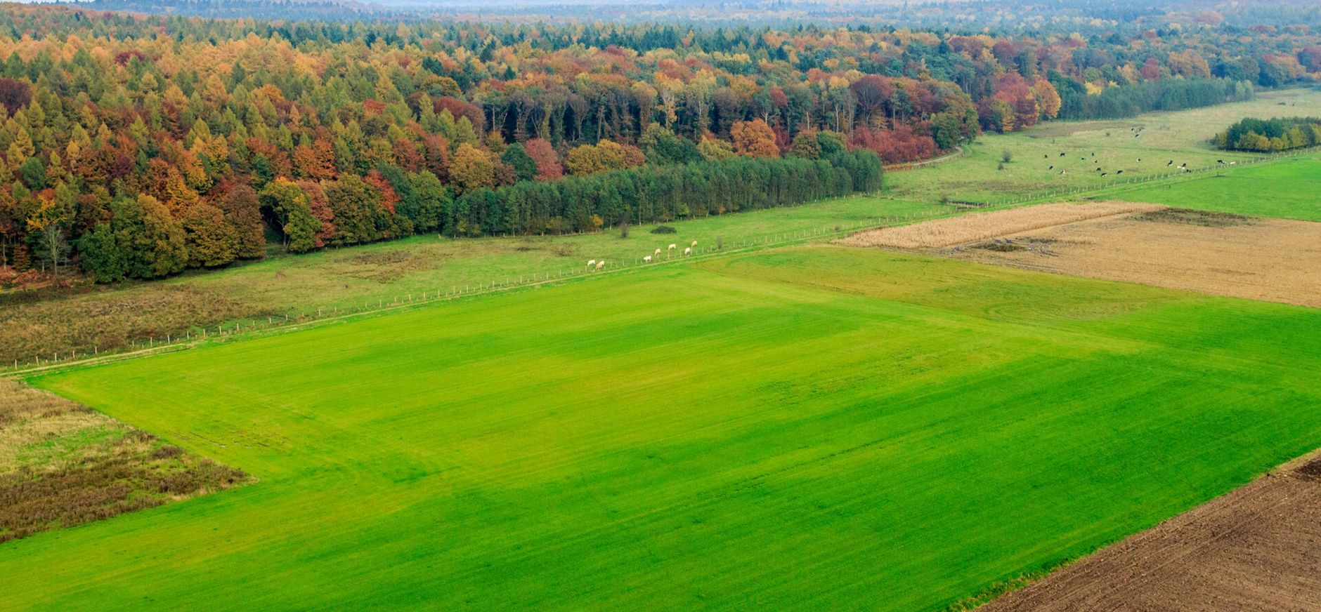 Reichswald en Sint-Jansberg