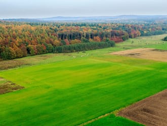 Reichswald en Sint-Jansberg
