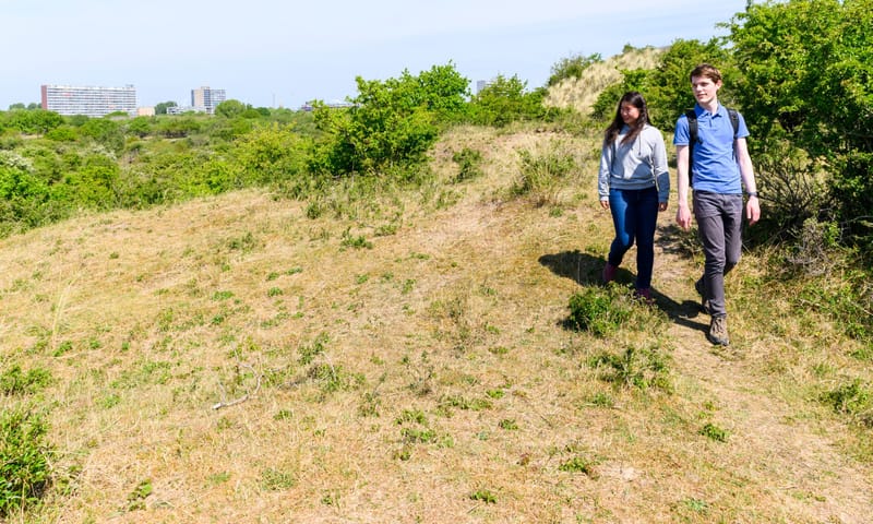 Twee wandelaars op een pad door de duinen