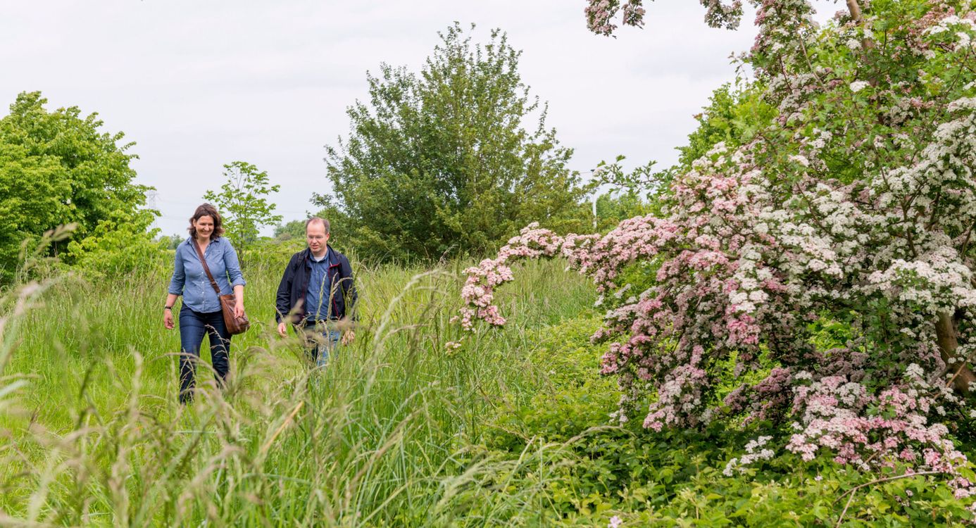Wandelaars in het groen met bloesem