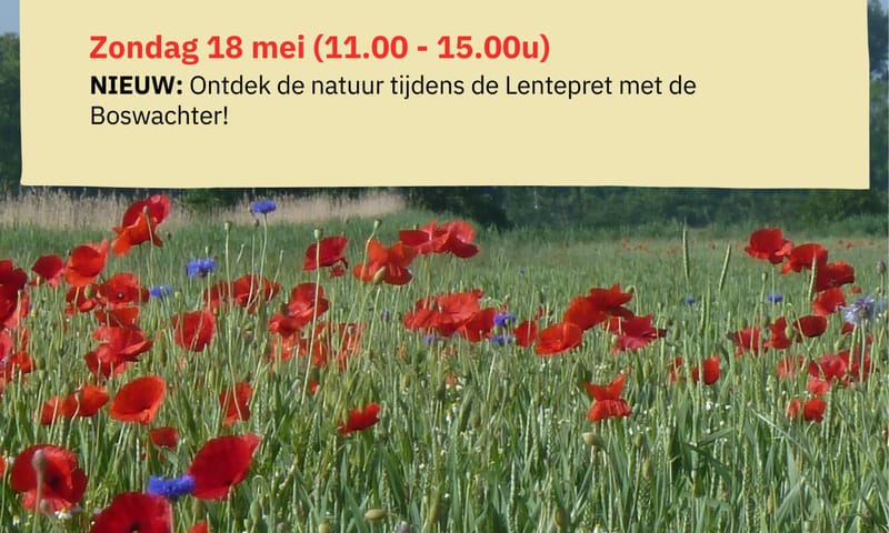 Programma