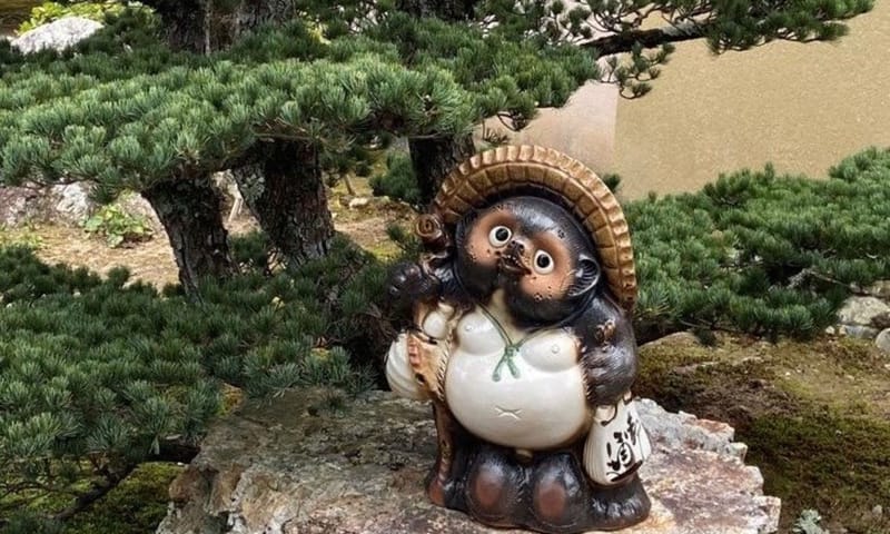 Japanse Tanuki