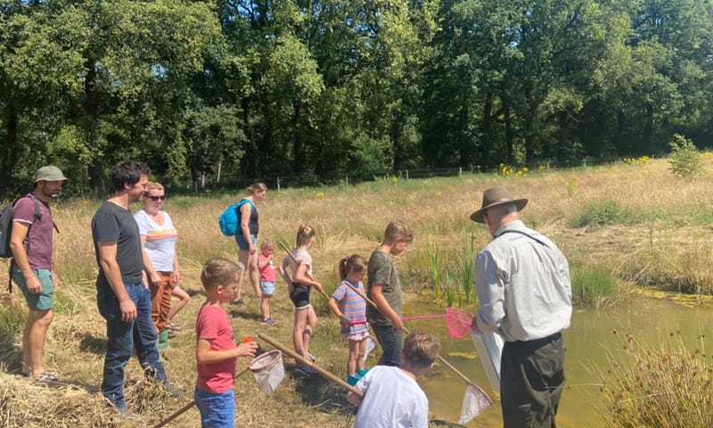 Waterdiertjes zoeken