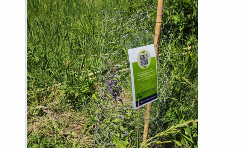 bestuiving informatiekaartje