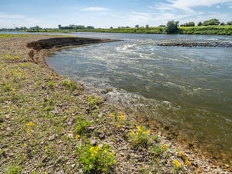 Maas als grindrivier bij Meers en Maasband