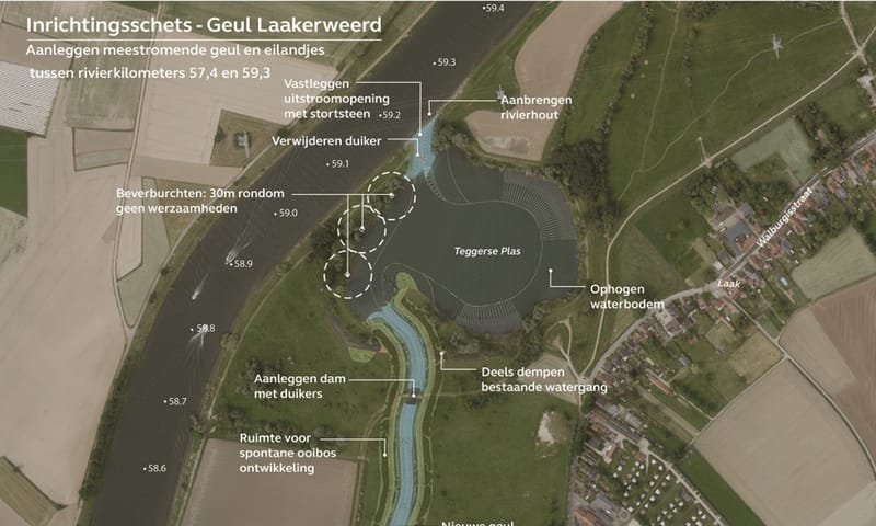 Illustratie geul bij Dilkensplas - RWS
