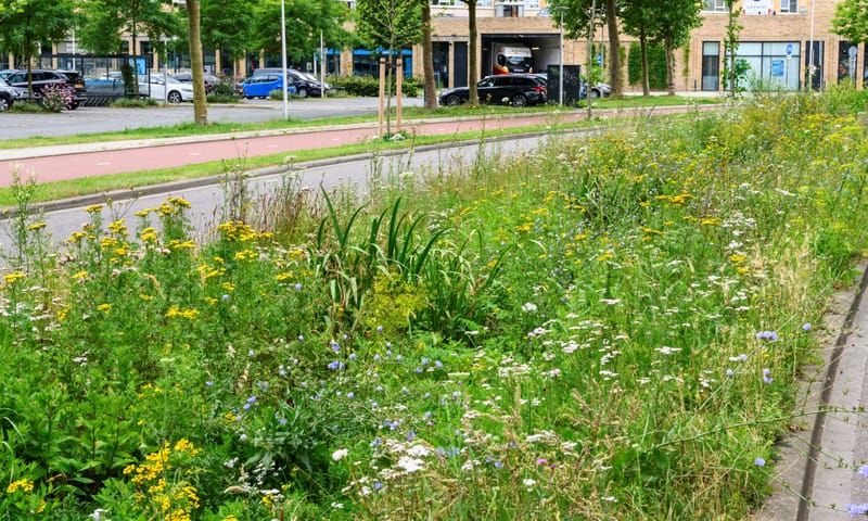 Nationale Enquête 'Natuur in jouw buurt'