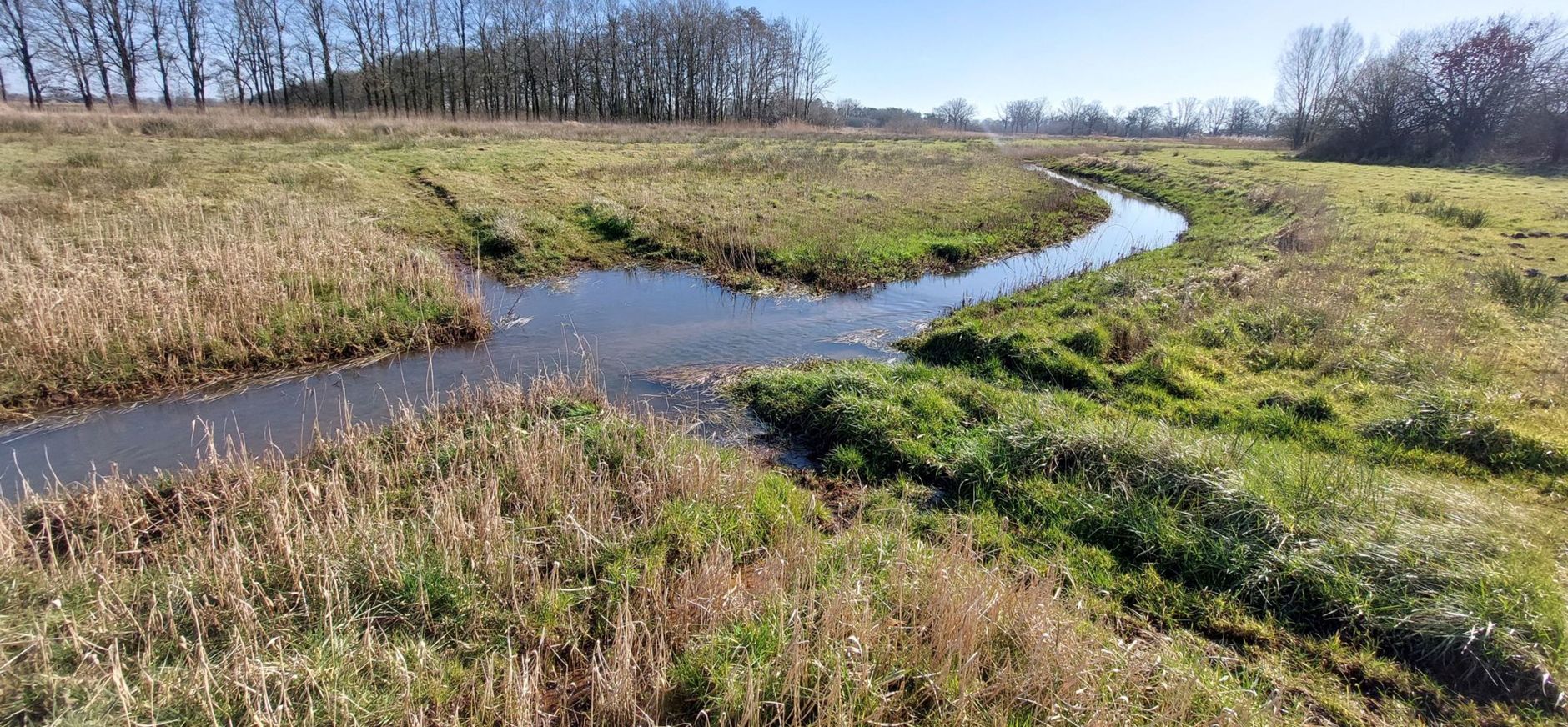 Herinrichting deelgebied Zilvense Broekbeek Herinrichting deelgebied Zilvense Broekbeek