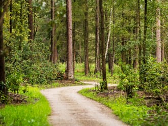 Impressie natuurbegraafplaats