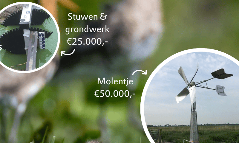 molen hoeksmeer molen hoeksmeer