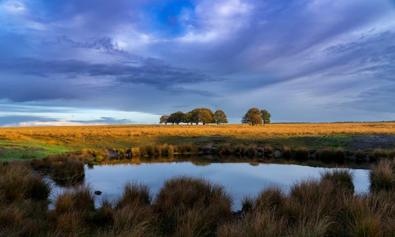 Terletse Heide
