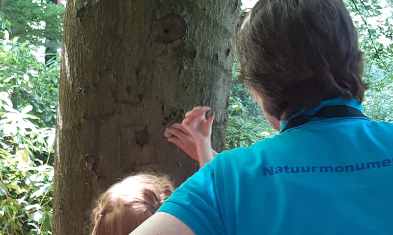 Kinderen bekijken slakken Kinderen bekijken slakken