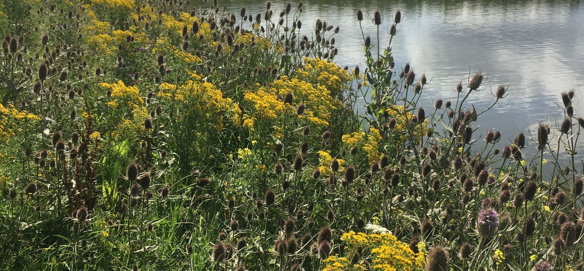 Broekpolder Rotterdams ommelandpad