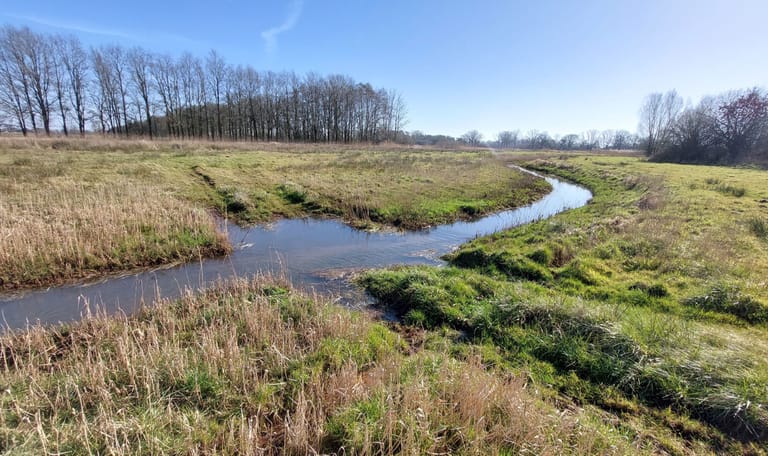Herinrichting deelgebied Zilvense Broekbeek 