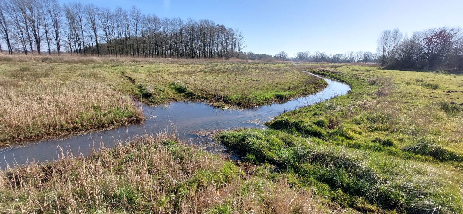 Herinrichting deelgebied Zilvense Broekbeek Herinrichting deelgebied Zilvense Broekbeek