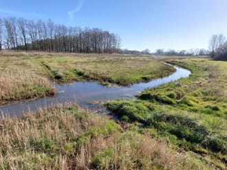 Herinrichting deelgebied Zilvense Broekbeek 