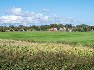 Polder Schiermonnikoog
