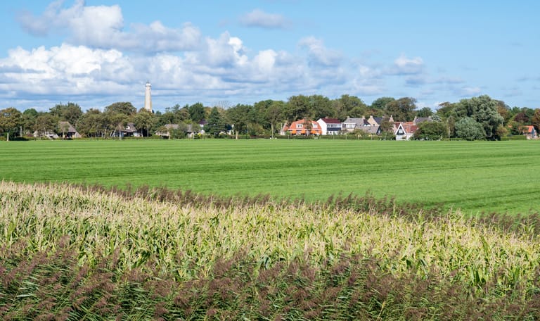 Polder Schiermonnikoog