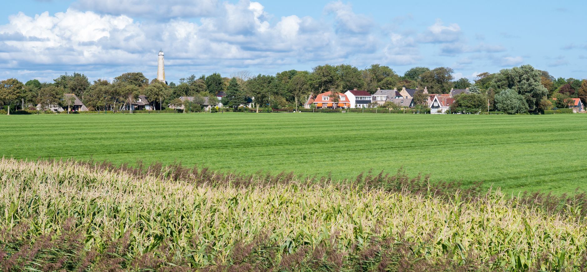 Polder Schiermonnikoog