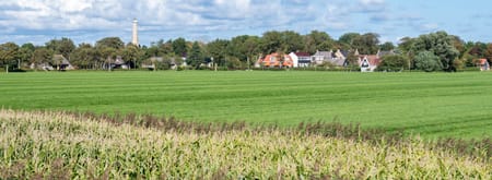 Polder Schiermonnikoog