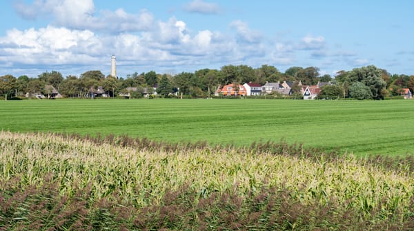 Polder Schiermonnikoog Polder Schiermonnikoog